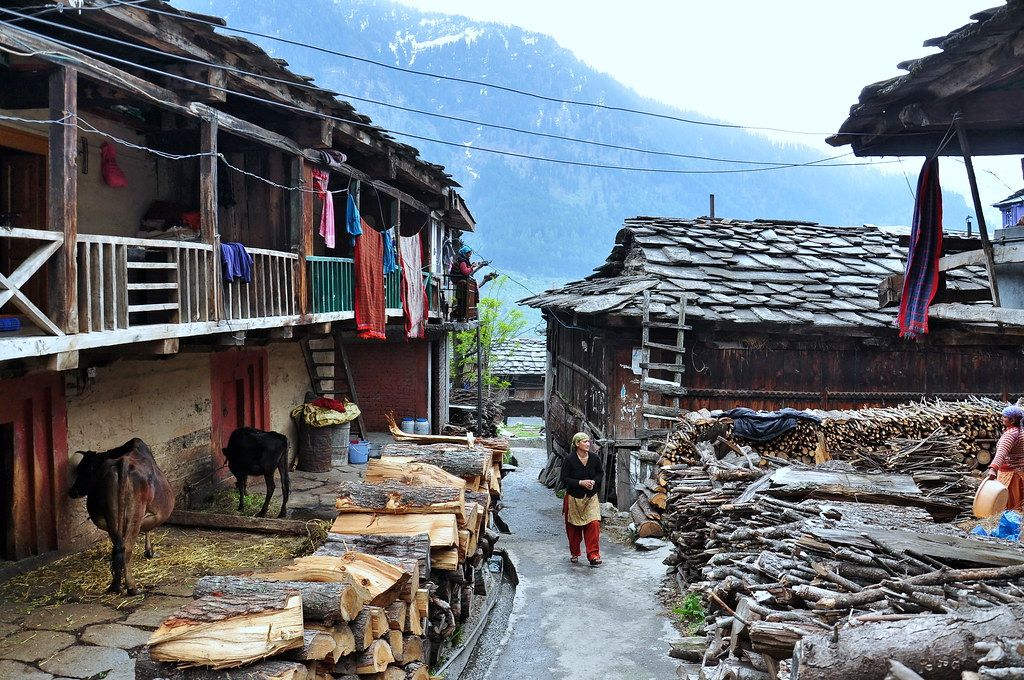 A lane in Old Manali with stacked firewood and old wooden houses
